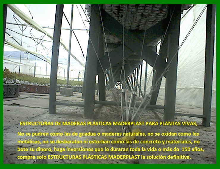 banco de enraizamiento madera plástica maderplast enraizar plantas mostrador mesón lecho soporte propagar maderas plásticas maderplast sembrar semillas esquejes brotes de plantas tallos socos 1 banco de enraizamiento madera plástica maderplast enraizar plantas mostrador mesón lecho soporte propagar maderas plásticas maderplast sembrar semillas esquejes brotes de plantas tallos socos 1 01 08 banco de enraizamiento madera plástica maderplast enraizar plantas mostrador mesón lecho soporte propagar maderas plásticas maderplast sembrar semillas esquejes brotes de plantas tallos socos 1